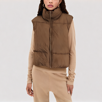 Brown Stand up Collar Down Vest