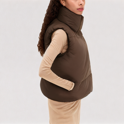 Brown Stand up Collar Down Vest