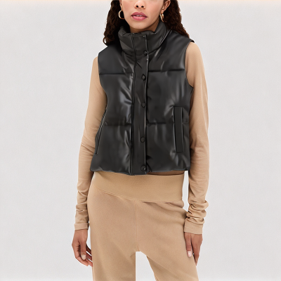 Simple Winter Down Vest